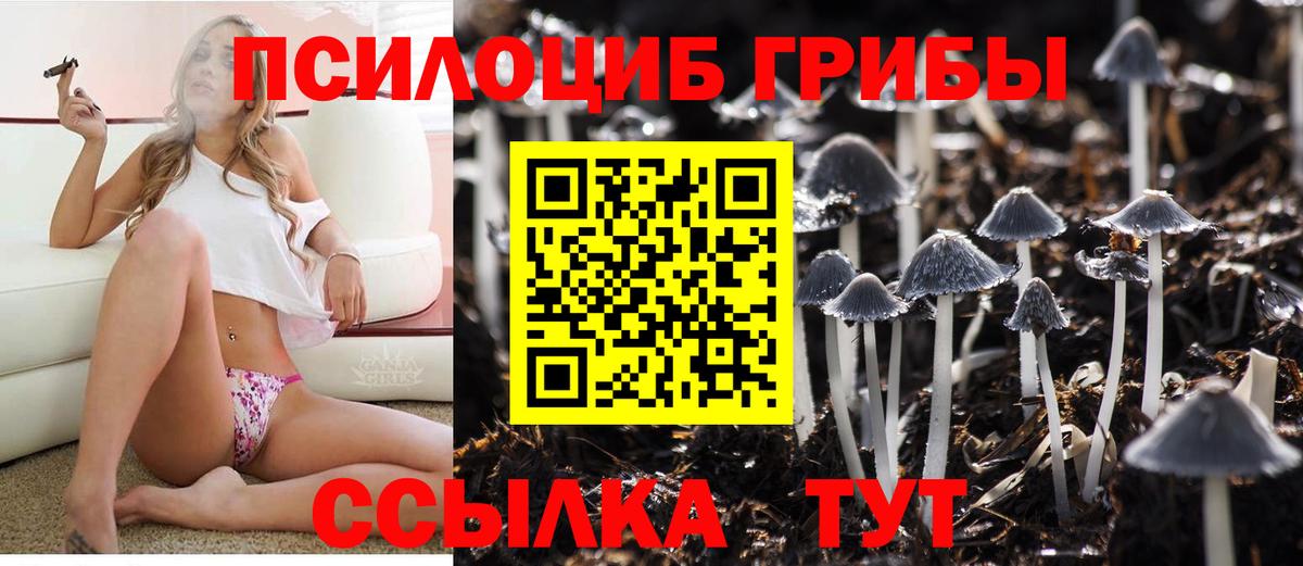 Югорск  Псилоцибиновые грибы прущие грибы  Вход с VPN 